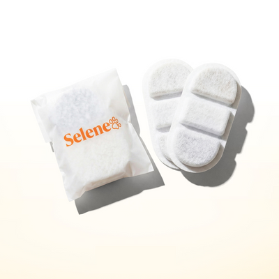 2 Replacement Wireless Filters (2.2L)