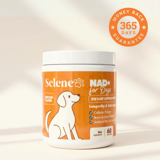 NAD+ Anti-Aging Precursor Powder