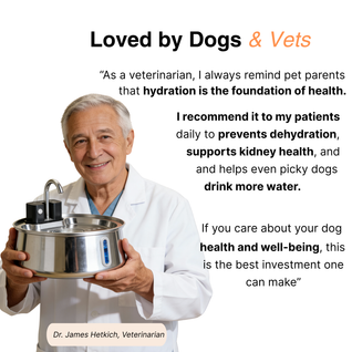 Wireless Fountain™ Care Bundle