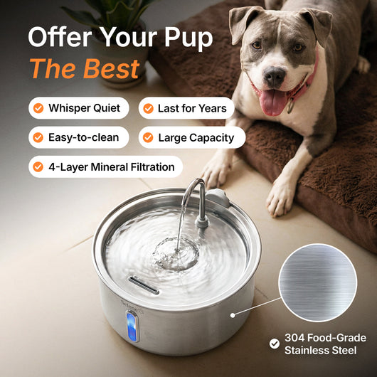 Doggy Fountain™ - The Starter Kit