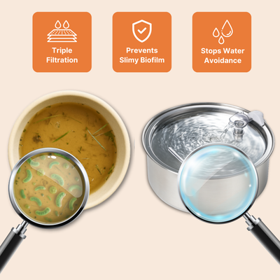 The Doggy Fountain™