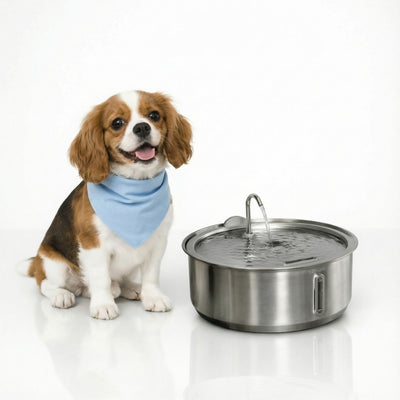 Doggy Bandana