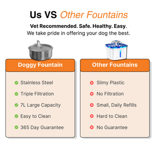 The Doggy Fountain ™