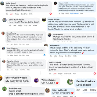 Wireless Doggy Fountain™