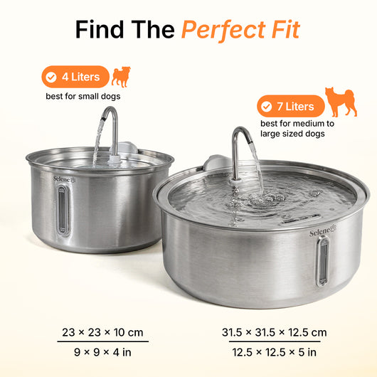 Doggy Fountain™ - The Starter Kit