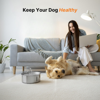 The Doggy Fountain™