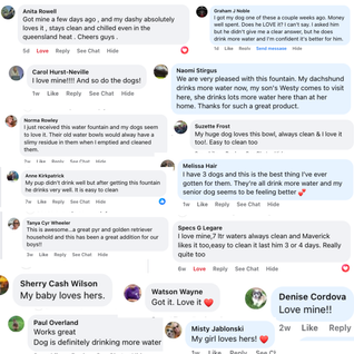 The Doggy Fountain ™