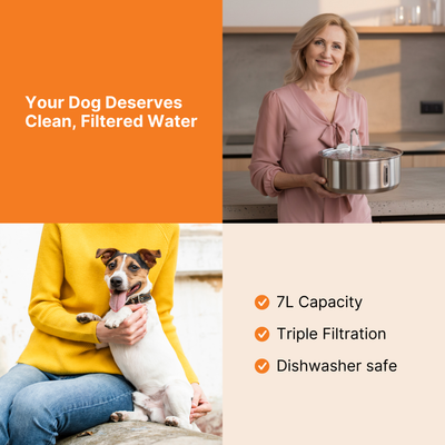 The Doggy Fountain™