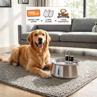 The Doggy Fountain™