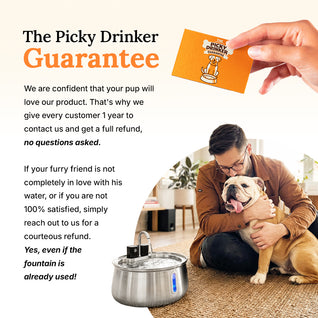 The Doggy Fountain™