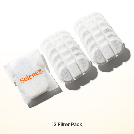 Plug-In Fountain Filters
