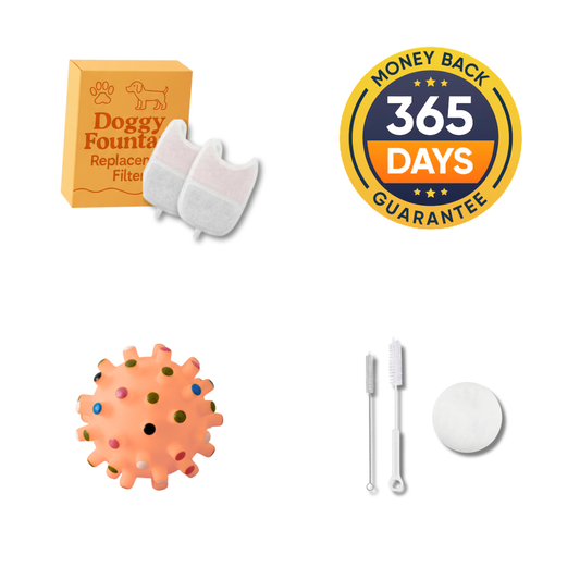 New Year Sale: 4 FREE Gifts