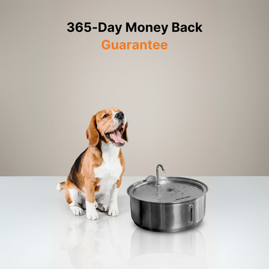 The Doggy Fountain™