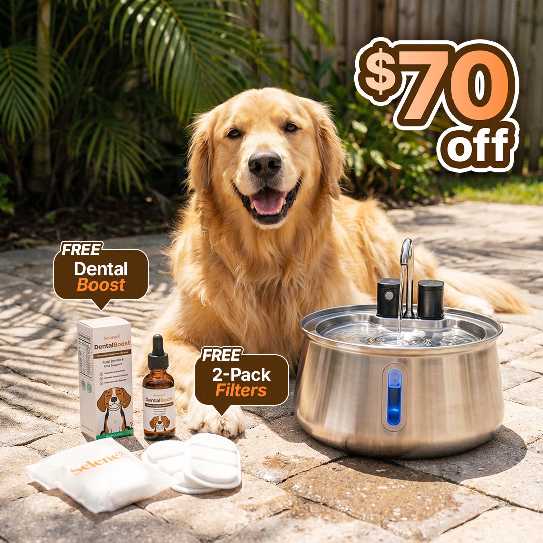 wireless 7l capacity with free gifts