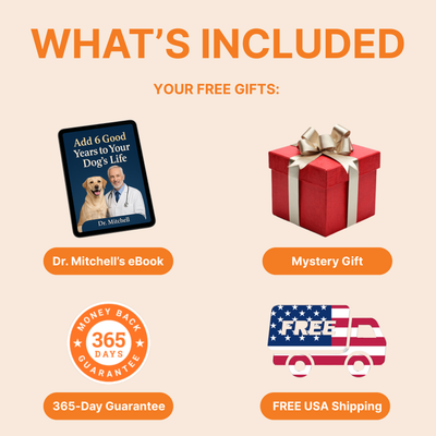 NAD+ Aging Supplement