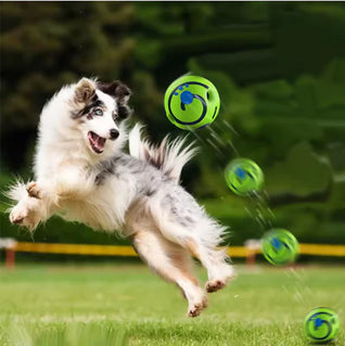 Interactive Dog Ball